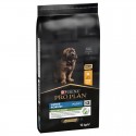 Purina Pro Plan Cão Puppy Large Robust Healthy Start Frango