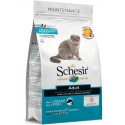 Schesir Gato Manutenção Peixe (Linha Seca)