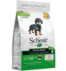 Schesir Cão Small Borrego Manutenção (Linha Seca)