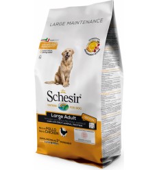 Schesir Cão Large Frango Manutenção (Linha Seca)