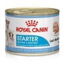 Royal Canin Starter Mousse, Cão, Húmidos, Cachorro, Alimento