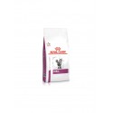 Royal Canin Renal Feline 2Kg