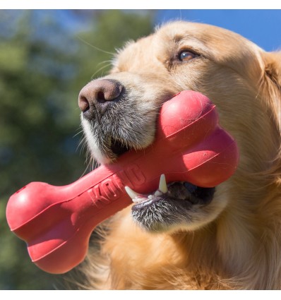 Brinquedo Kong Goodie Bone - Small + 9kg (KB31E)