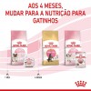 Royal Canin Mother e Babycat Húmidos Lata 195g 