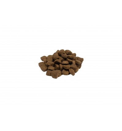 Weego Cão Adulto Grain Free Tasty Cordeiro