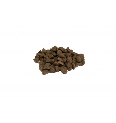 Weego Cão Adulto Grain Free Ocean Salmão