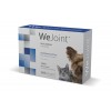WeJoint Raças Pequenas e Gatos