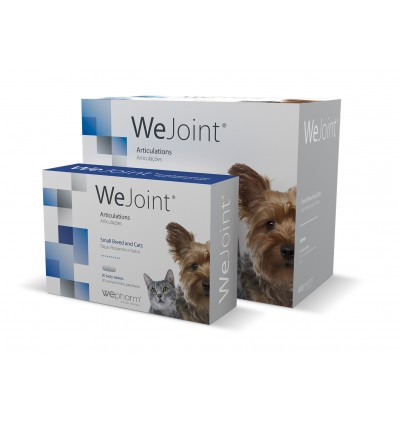 WeJoint Raças Pequenas e Gatos