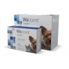 WeJoint Raças Pequenas e Gatos
