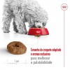 Royal Canin Mini Ageing 12+, Cão, Seco, Sénior, Alimento/Ração