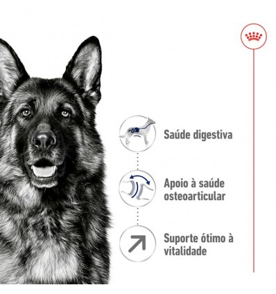 Royal Canin Maxi, Cão, Seco, Adulto 5+, Alimento/Ração