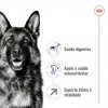 Royal Canin Maxi, Cão, Seco, Adulto 5+, Alimento/Ração