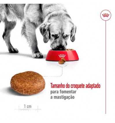 Royal Canin Maxi, Cão, Seco, Adulto 5+, Alimento/Ração