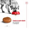 Royal Canin Maxi, Cão, Seco, Adulto 5+, Alimento/Ração