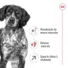 Royal Canin Medium, Cão, Seco, Adulto 7+, Alimento/Ração
