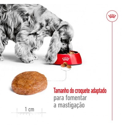 Royal Canin Medium, Cão, Seco, Adulto 7+, Alimento/Ração