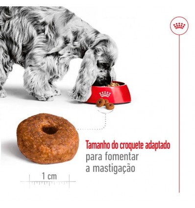 Royal Canin Medium Adult 4kg