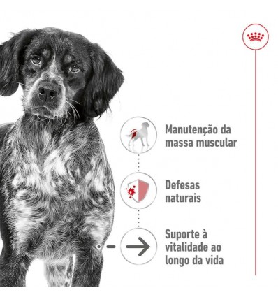 Royal Canin Medium Adult 4kg