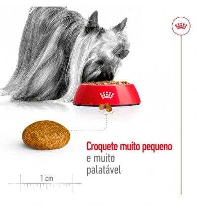 Royal Canin X-small Adult, Cão, Seco, Adulto, Alimento/Ração