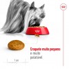 Royal Canin X-small Adult, Cão, Seco, Adulto, Alimento/Ração