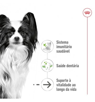 Royal Canin X-small, Cão, Seco, Ageing 12+, Alimento/Ração