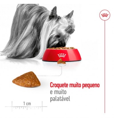Royal Canin X-small, Cão, Seco, Ageing 12+, Alimento/Ração