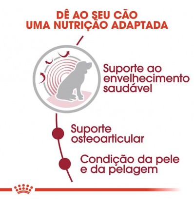 Royal Canin Medium Ageing 10+, Cão, Húmidos, Adulto, Alimento