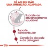 Royal Canin Medium Ageing 10+, Cão, Húmidos, Adulto, Alimento