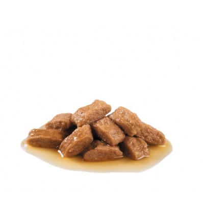 Royal Canin Medium Ageing 10+, Cão, Húmidos, Adulto, Alimento