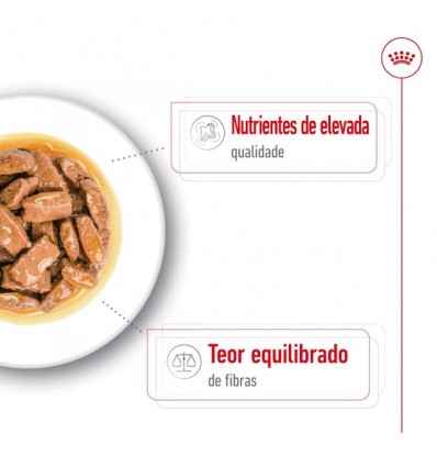 Royal Canin Maxi Adult, Cão, Húmidos, Adulto, Alimento