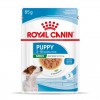 Royal Canin Mini Puppy, Cão, Húmidos, Cachorro, Alimento