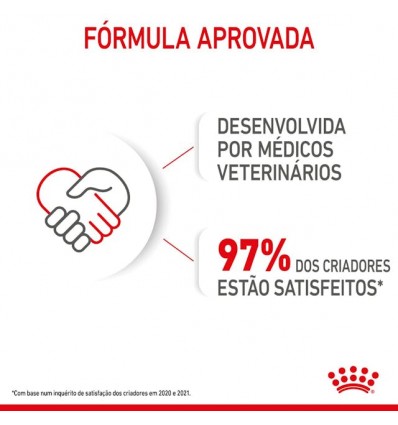 Royal Canin Mini Puppy, Cão, Húmidos, Cachorro, Alimento