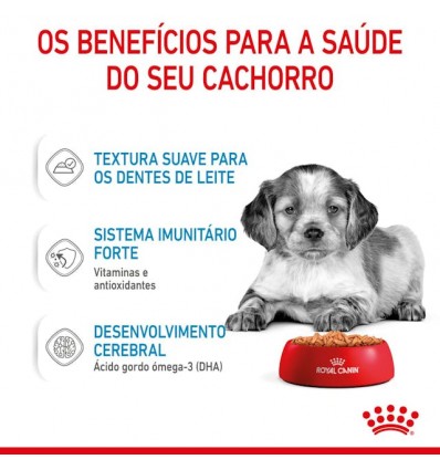 Royal Canin Medium Puppy, Cão, Húmidos, Adulto, Alimento