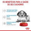Royal Canin Medium Puppy, Cão, Húmidos, Adulto, Alimento
