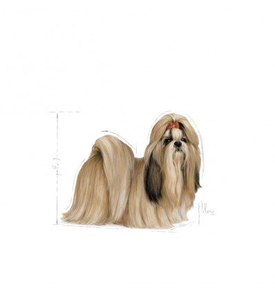 Royal Canin Shih Tzu, Cão, Seco, Adulto, Alimento/Ração
