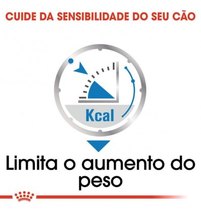 Royal Canin Mini Puppy, Cão, Húmidos, Cachorro, Alimento