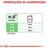 Royal Canin Mini Puppy, Cão, Húmidos, Cachorro, Alimento
