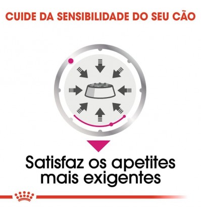 Royal Canin Mini Puppy, Cão, Húmidos, Cachorro, Alimento