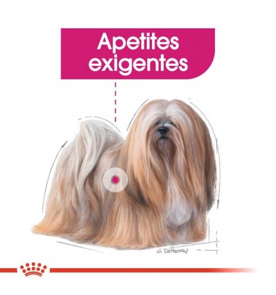Royal Canin Mini Puppy, Cão, Húmidos, Cachorro, Alimento