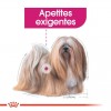 Royal Canin Mini Puppy, Cão, Húmidos, Cachorro, Alimento