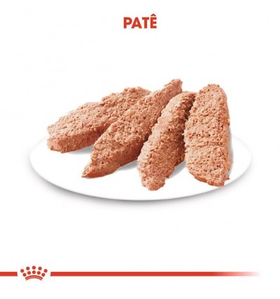 Royal Canin Mini Puppy, Cão, Húmidos, Cachorro, Alimento