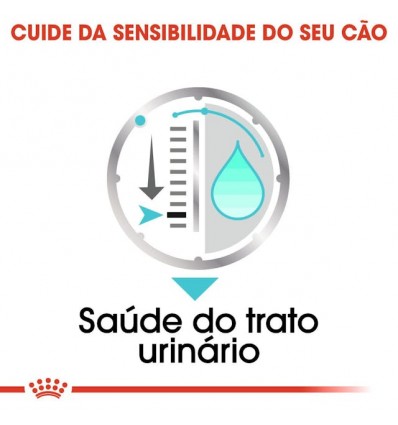 Royal Canin Mini Puppy, Cão, Húmidos, Cachorro, Alimento