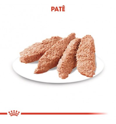 Royal Canin Mini Puppy, Cão, Húmidos, Cachorro, Alimento