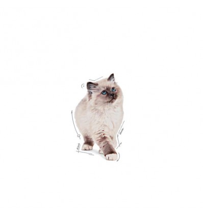 Royal Canin Gatinhos Loaf Húmidos Saquetas 85g x 12uni.