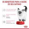 Royal Canin Gatinhos Loaf Húmidos Saquetas 85g x 12uni.
