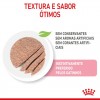 Royal Canin Gatinhos Loaf Húmidos Saquetas 85g x 12uni.