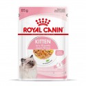 Royal Canin Kitten (Jelly), Gatinhos, Húmidos, Alimento