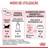 Royal Canin Kitten (Jelly), Gatinhos, Húmidos Alimento