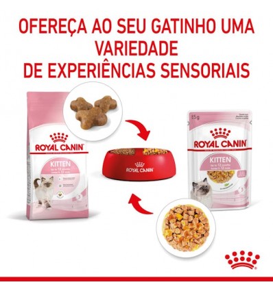 Royal Canin Kitten (Jelly), Gatinhos, Húmidos Alimento