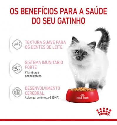 Royal Canin Kitten (Jelly), Gatinhos, Húmidos Alimento